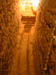 DSCN5194